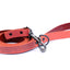 Celtic Sport Leather Dog Leash