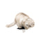 Wooden Cat Step - White