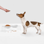 Small Black or White Bowl Feeder