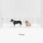 Wall Mount Zig Zag Gate (Low)