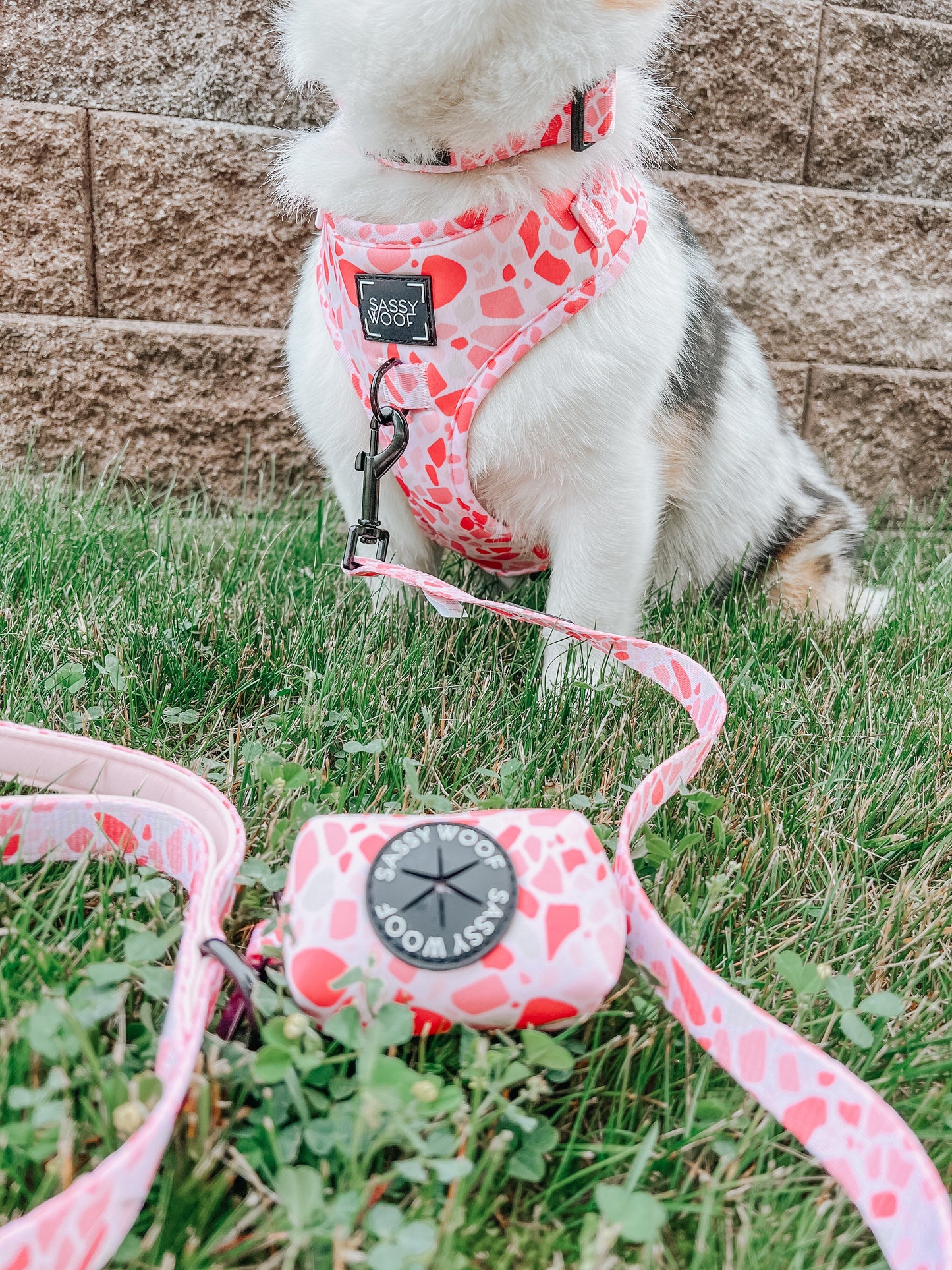 Dog Adjustable Harness - Mykonos