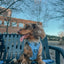 Dog Step-in Harness - Hydrangea