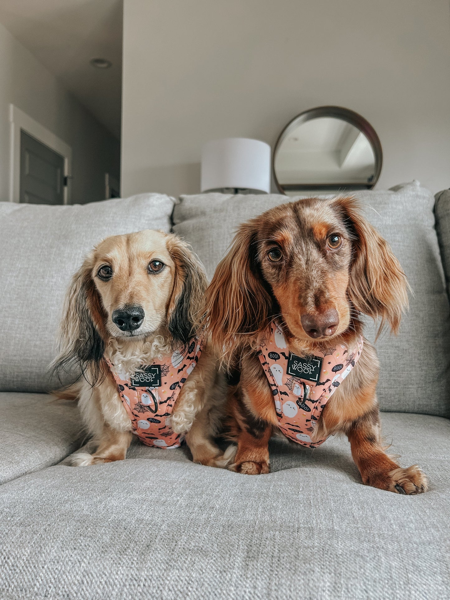 Dog Adjustable Harness - Squad Ghouls