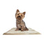 WizSmart Essentials Large Dog Training Pads for Puppies