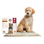 WizSmart Essentials Training Pads with Attractant for Dogs & Puppies, XL