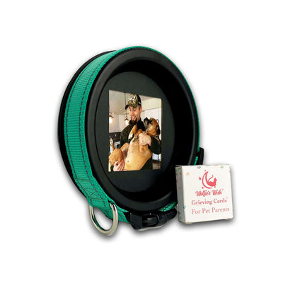 Pet Loss Bundle | Pet Collar Display Frame and Grieving Cards