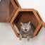 Wooden Cat Shelf Oak