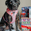 Dog Adjustable Harness - Candy Cane Coquette