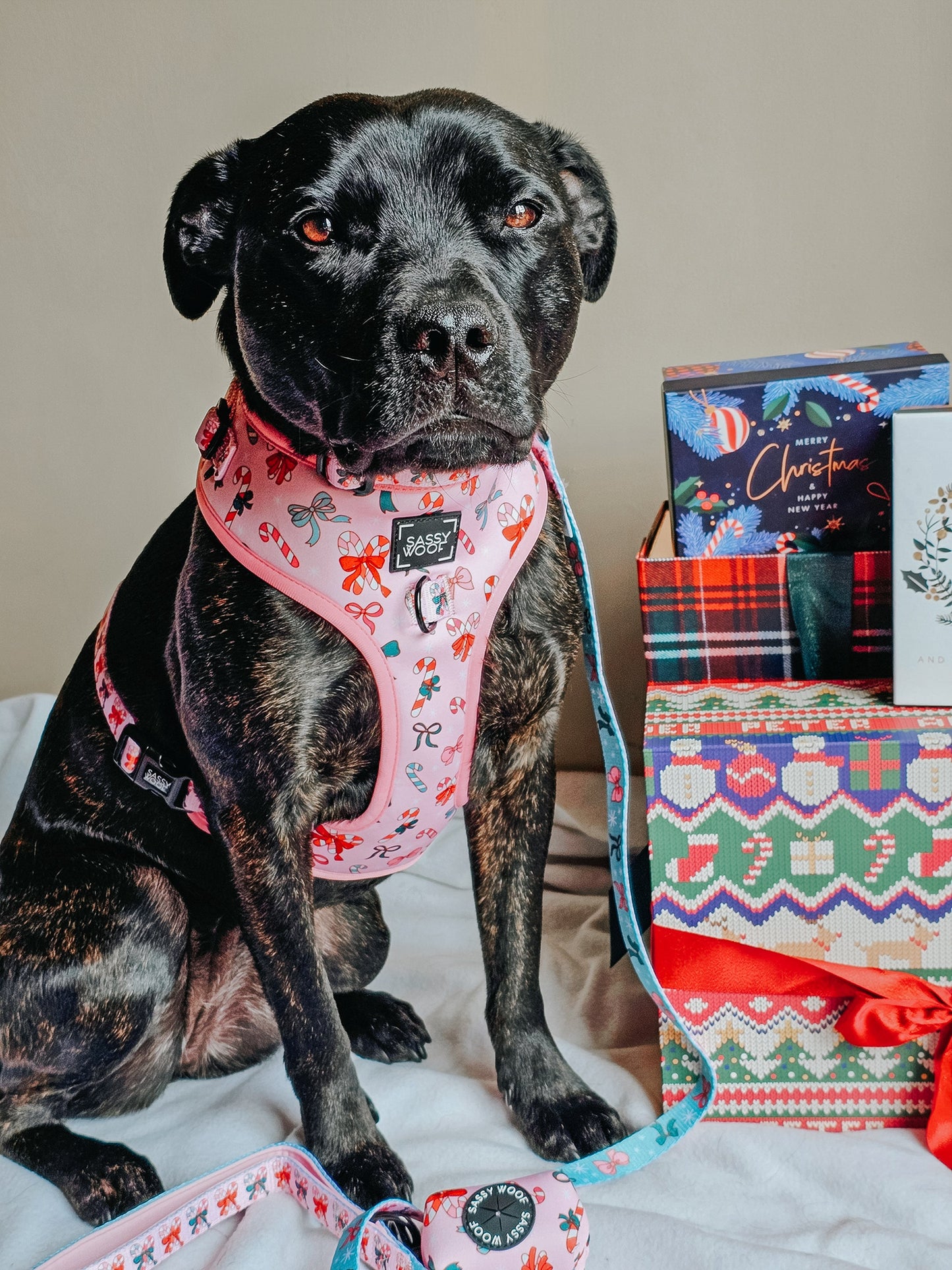 Dog Adjustable Harness - Candy Cane Coquette