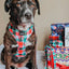 Dog Adjustable Harness - Jingle Barks