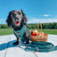 Dog Adjustable Harness - Forest