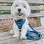 Dog Adjustable Harness - Twilight