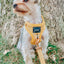 Dog Adjustable Harness - Sunflower Fields