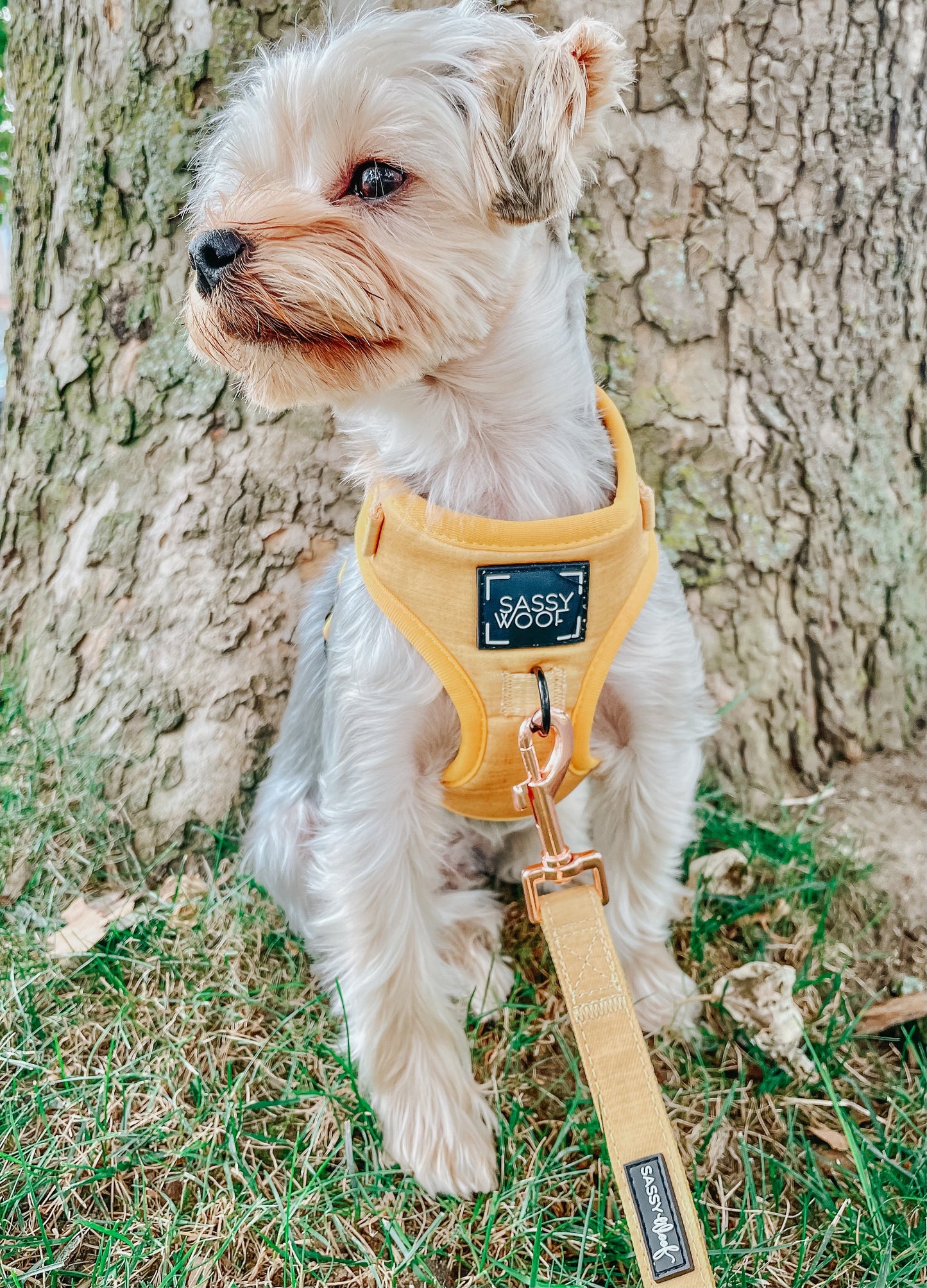 Dog Adjustable Harness - Sunflower Fields