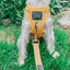 Dog Leash - Sunflower Fields