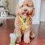 Dog Adjustable Harness - Neon Yellow