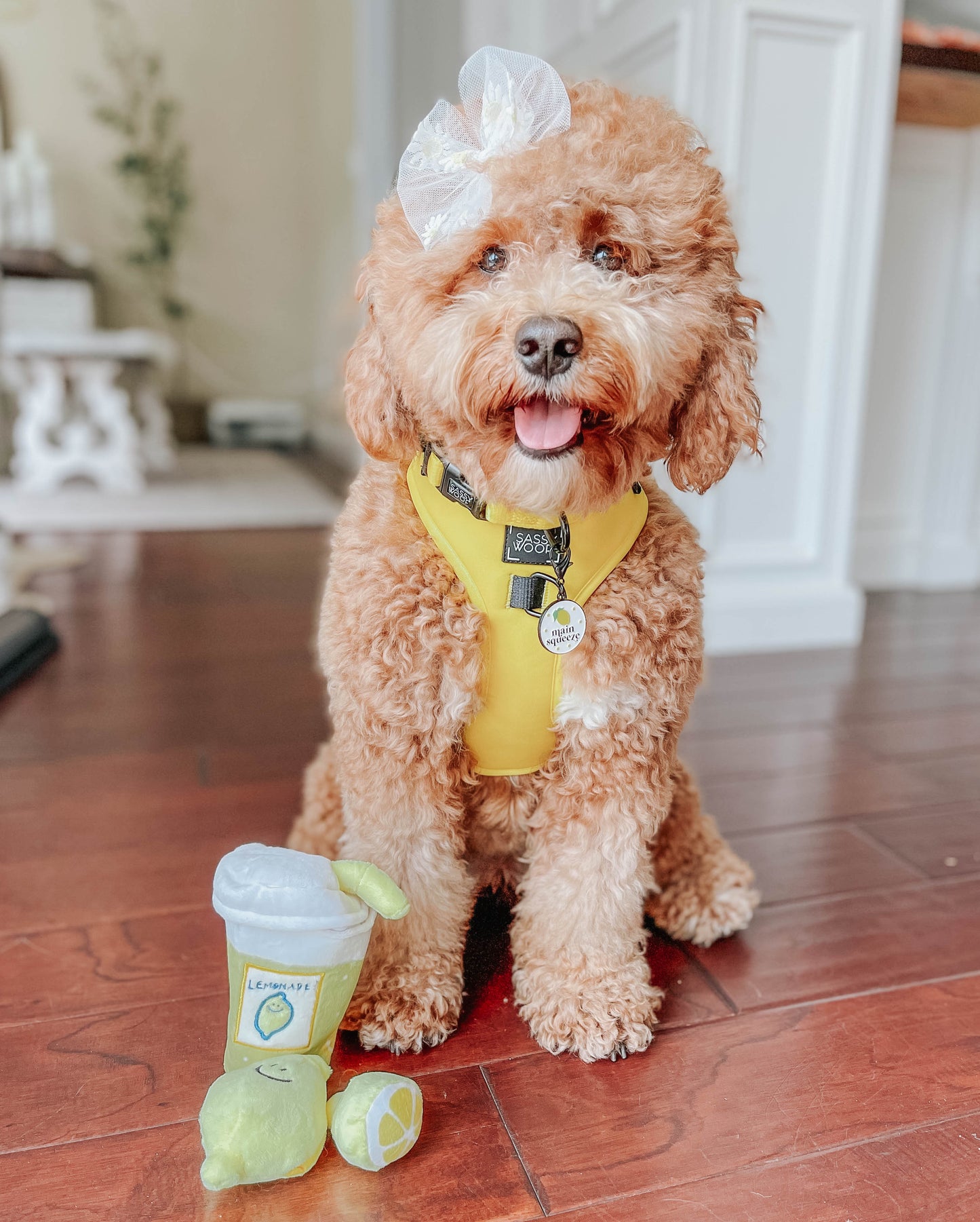 Dog Adjustable Harness - Neon Yellow