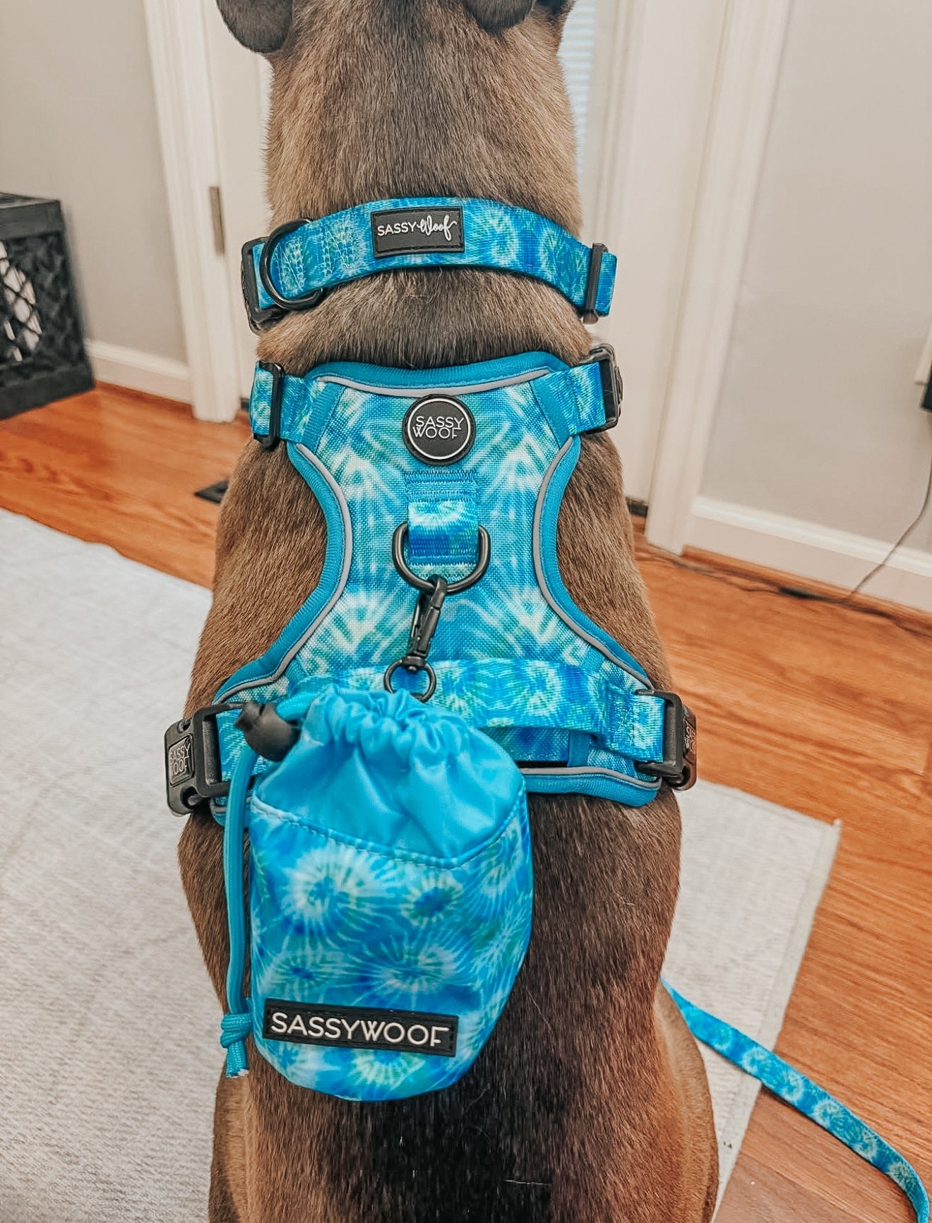 Dog Step-in Harness - Tropical Tides
