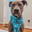 Dog Step-in Harness - Tropical Tides