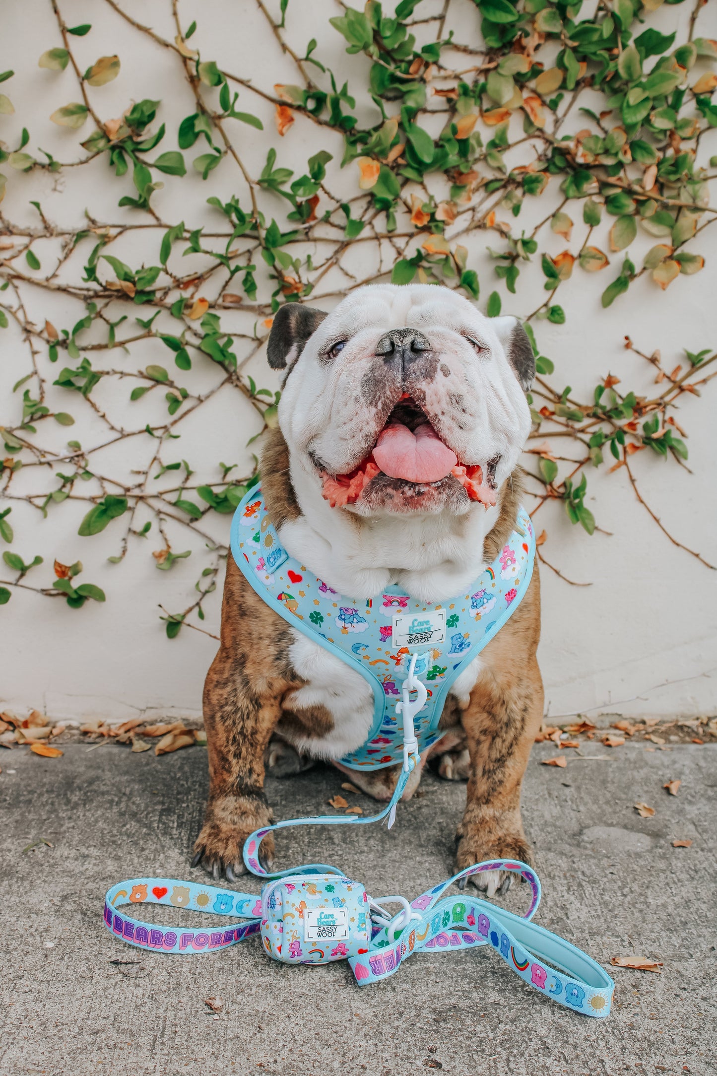 Dog Leash - Care Bears™ Care-a-Lot